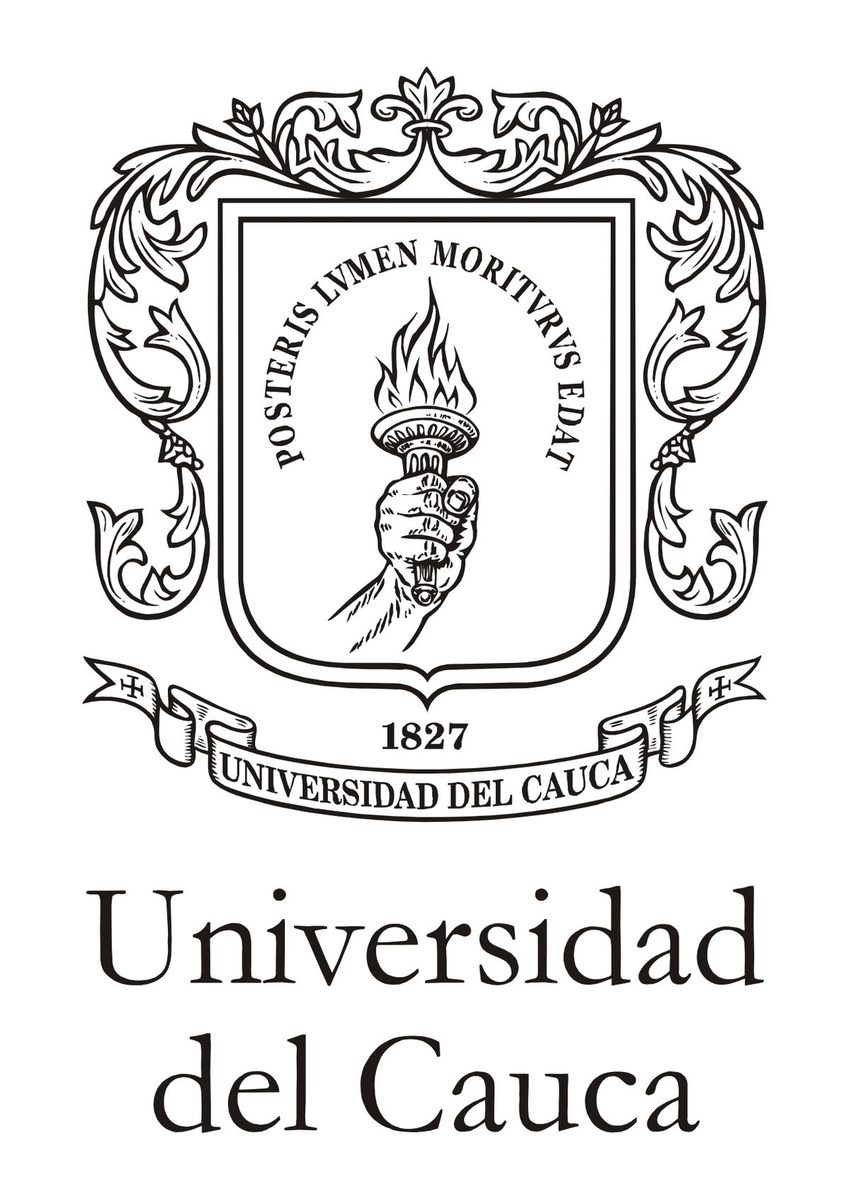 Universidad del Cauca