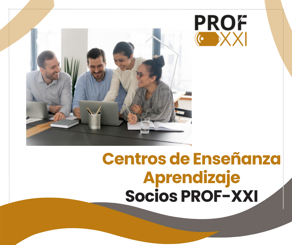 Center for Teaching and Learning at Partner Universities of the PROF-XXI Project.